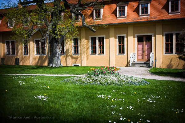 Schloss Ettersburg im Frühjahr